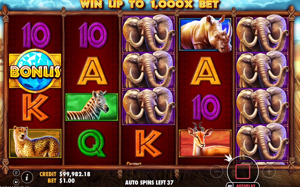 Win screen after a payline pays on the 5x4 grid